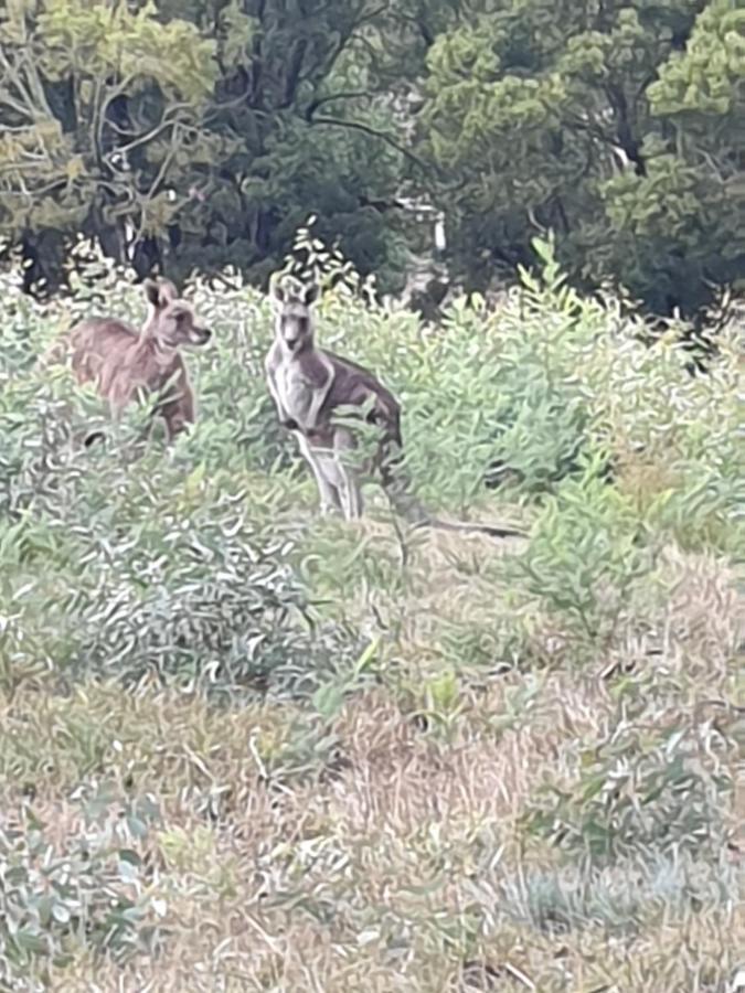 Astley Daylesford