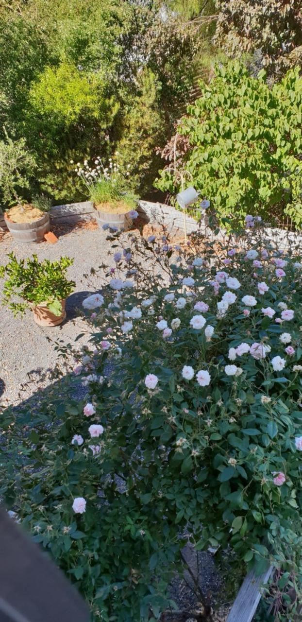 Astley Holiday home Daylesford